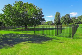 Bark park